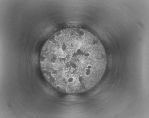 X0000115040699200911231133