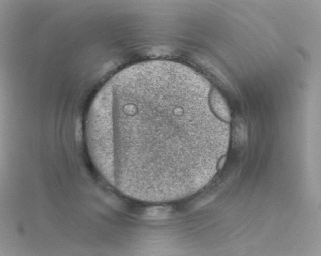 X0000115040700200911231133