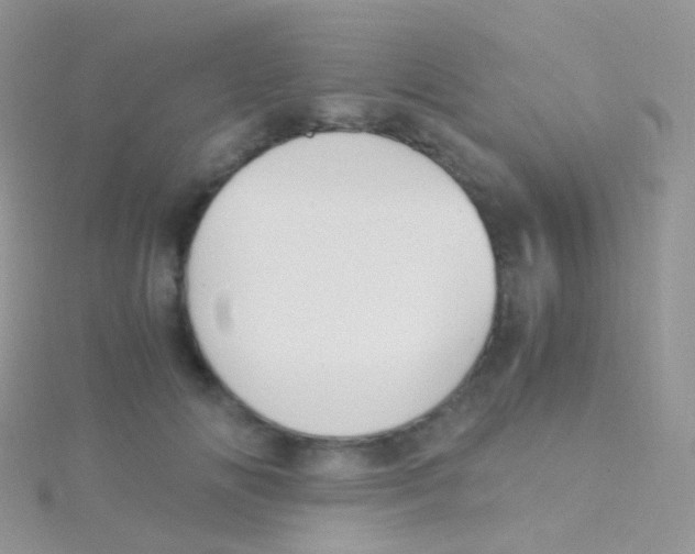 X0000115040702200911231133