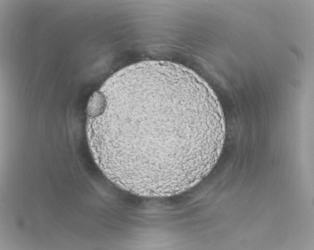 X0000115040703200911231133