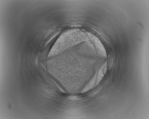 X0000115040704200911231133