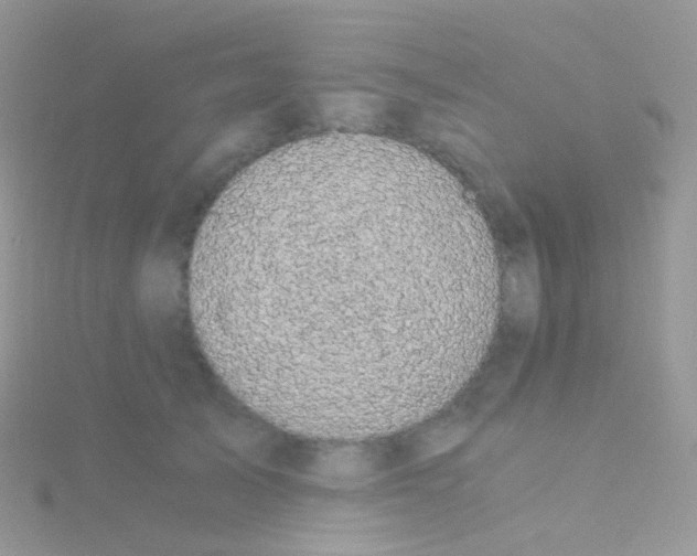 X0000115040705200911231133