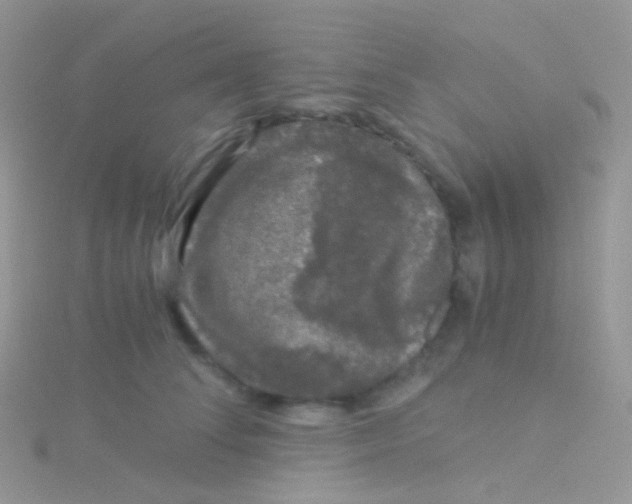 X0000115040708200911231133