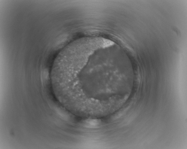 X0000115040711200911231133