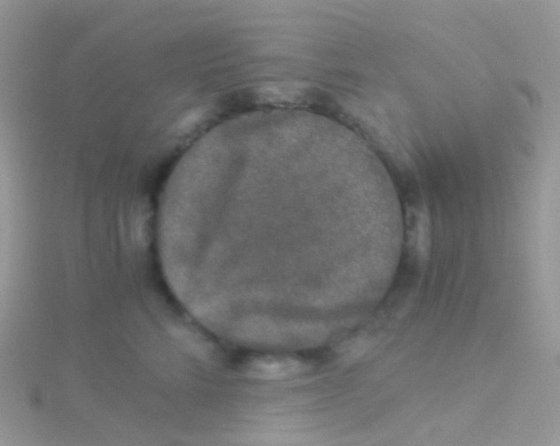 X0000115040712200911231133