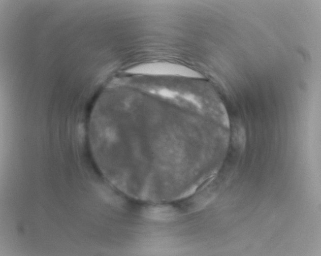 X0000115040716200911231133