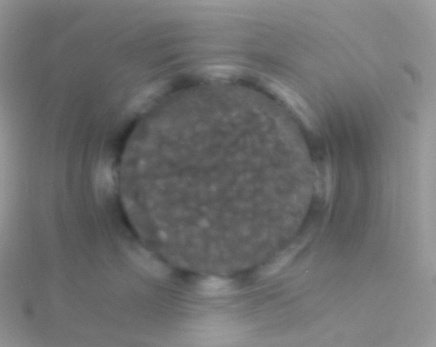 X0000115040718200911231133