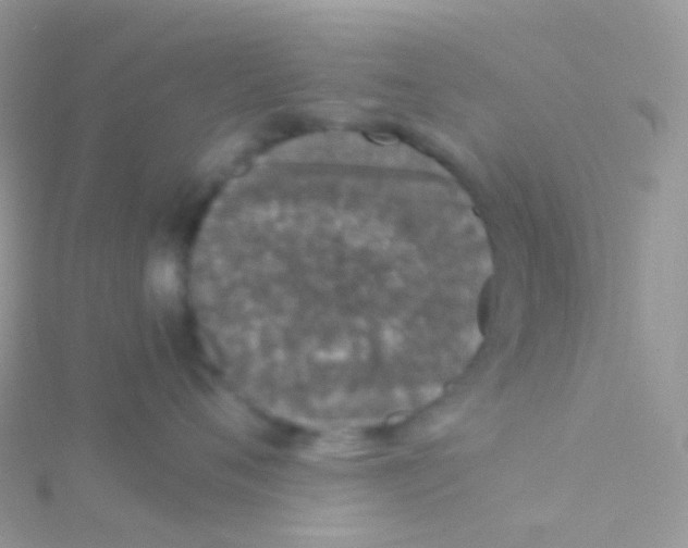 X0000115040720200911231133