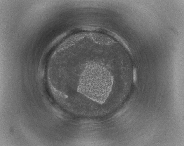 X0000115040723200911231132