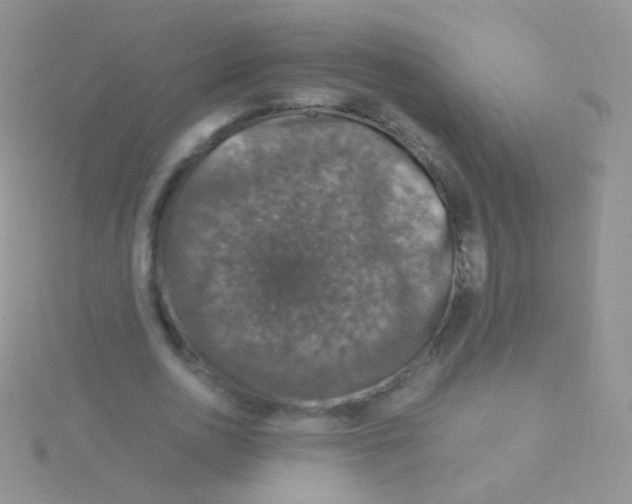 X0000115040726200911231132