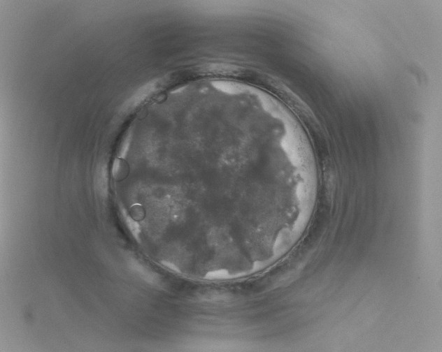 X0000115040729200911231132