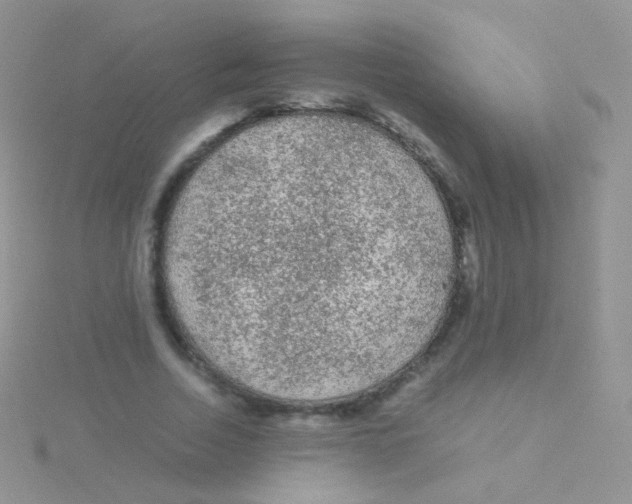 X0000115040730200911231132