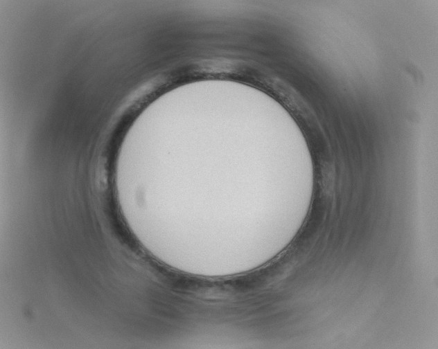 X0000115040731200911231132