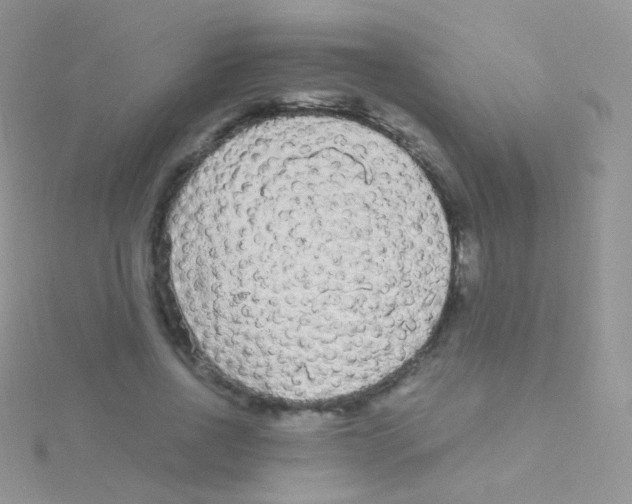 X0000115040734200911231132