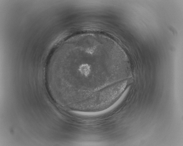 X0000115040735200911231132