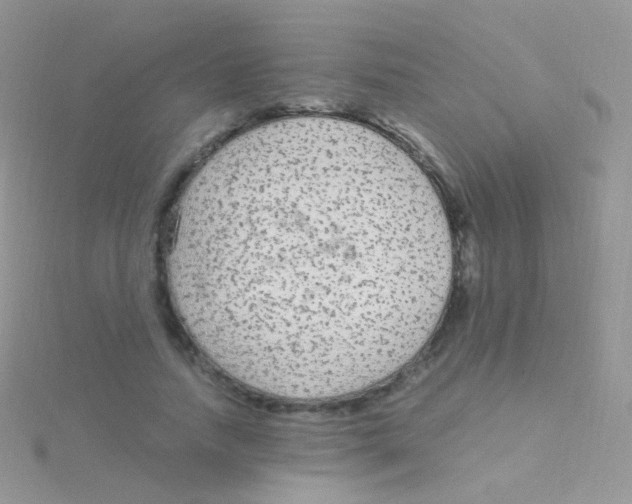 X0000115040738200911231132