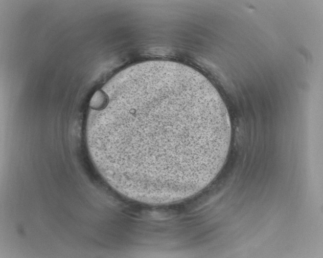 X0000115040739200911231132