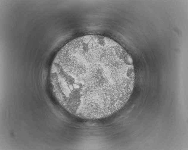 X0000115040742200911231132