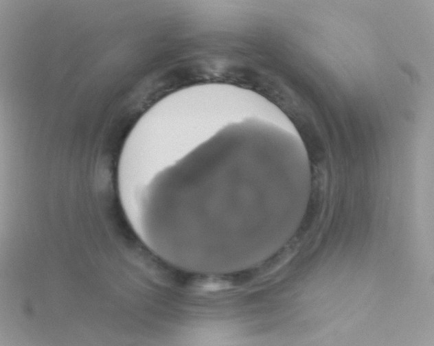 X0000115040754200911231132