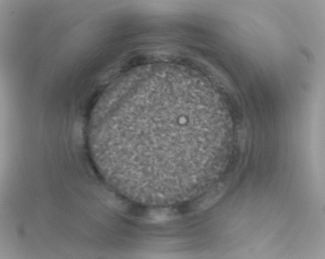 X0000115040757200911231132