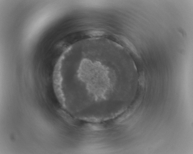 X0000115040763200911231132