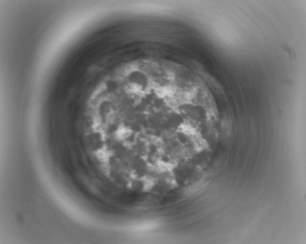 X0000115040765200911231132