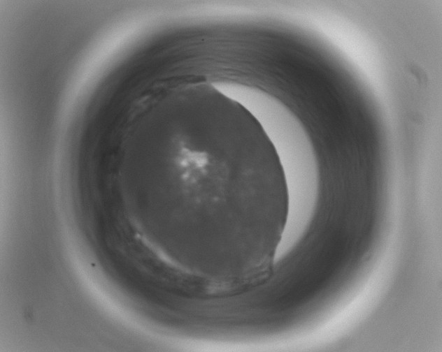 X0000115040766200911231132