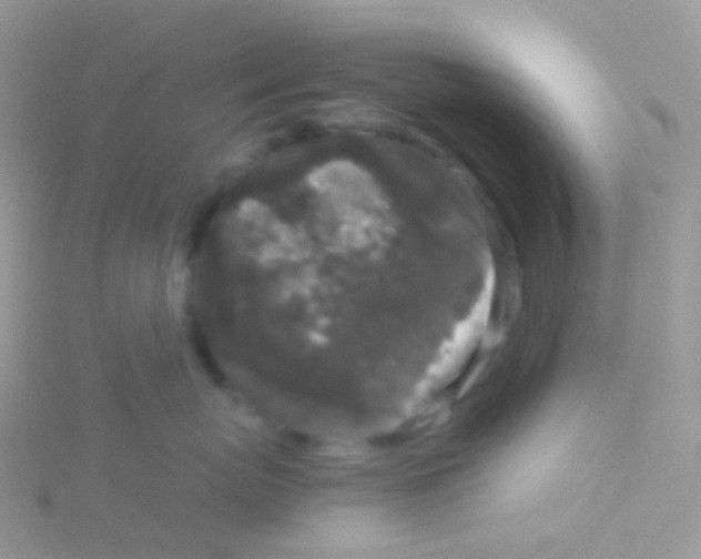 X0000115040767200911231132