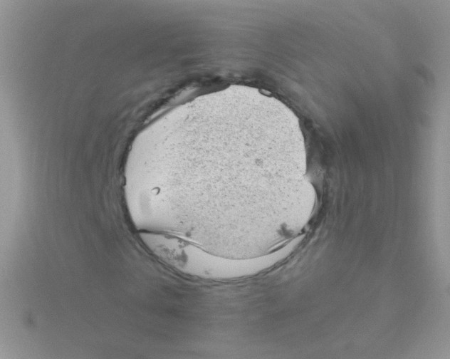 X0000115040769200911231132