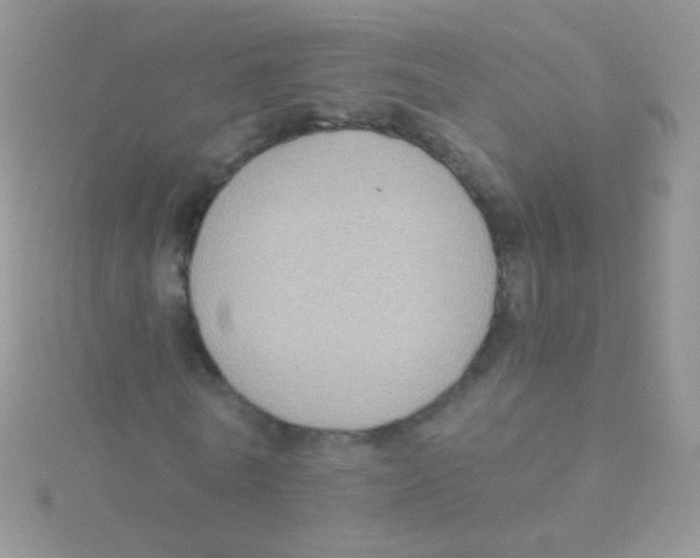 X0000115040770200911231132