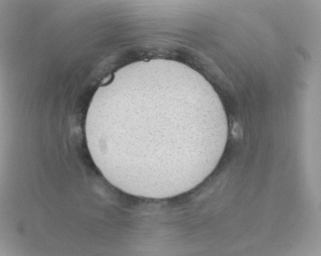 X0000115040771200911231132