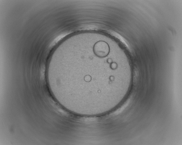 X0000115040778200911231132