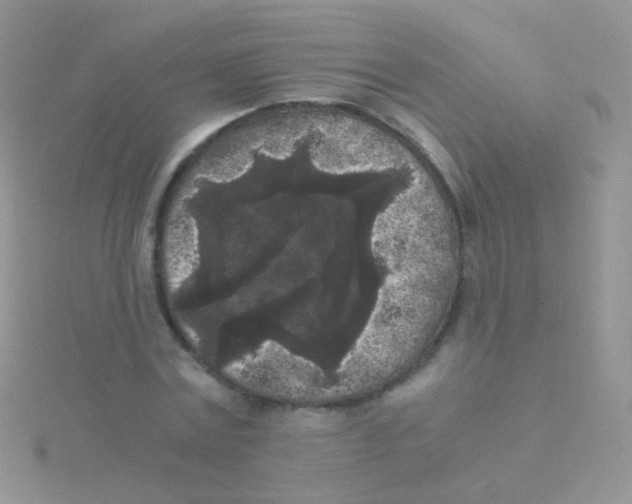 X0000115040779200911231132