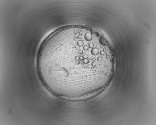 X0000115040780200911231132