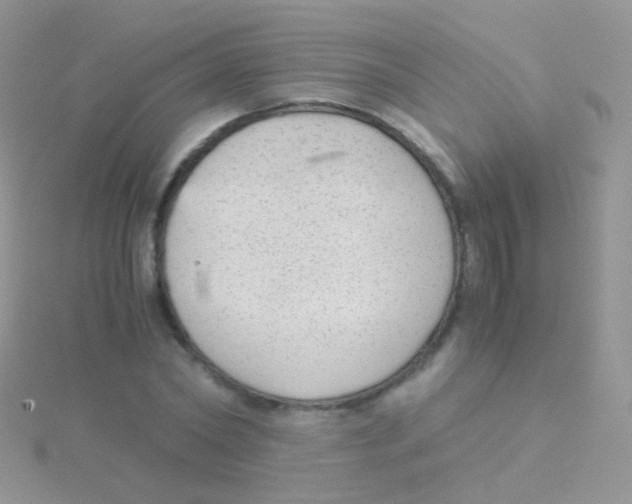 X0000115040782200911231132