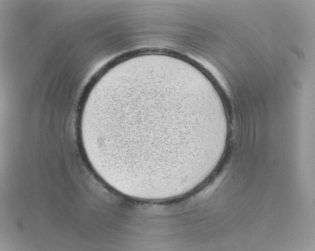 X0000115040783200911231132