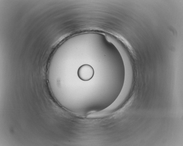 X0000115040785200911231132