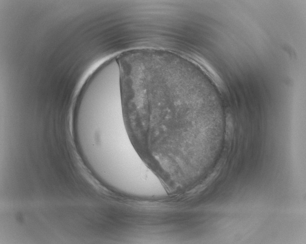 X0000115040788200911231131