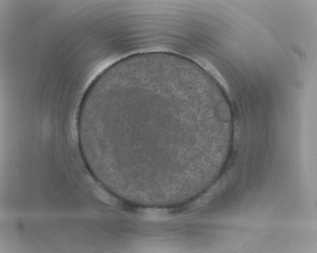 X0000115040789200911231131