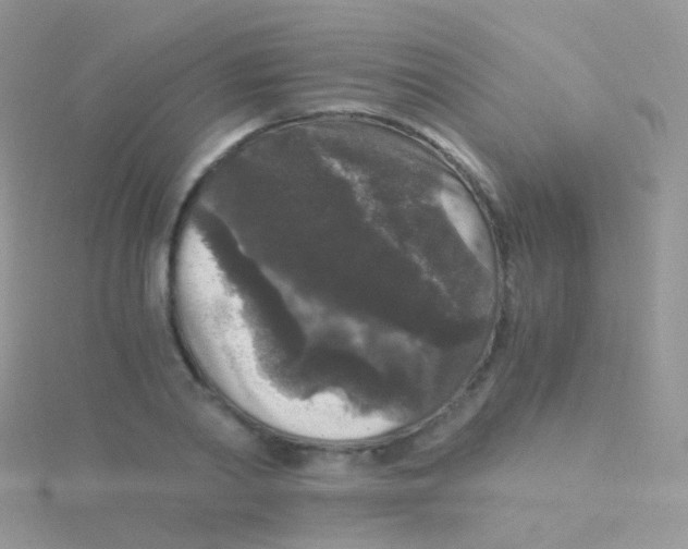 X0000115040790200911231131