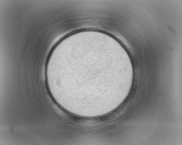 X0000115040791200911231131