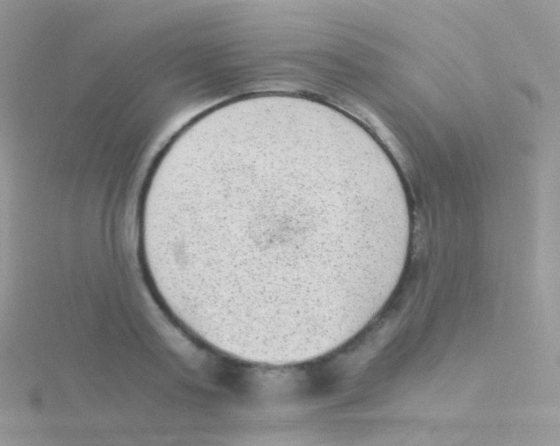 X0000115040795200911231131