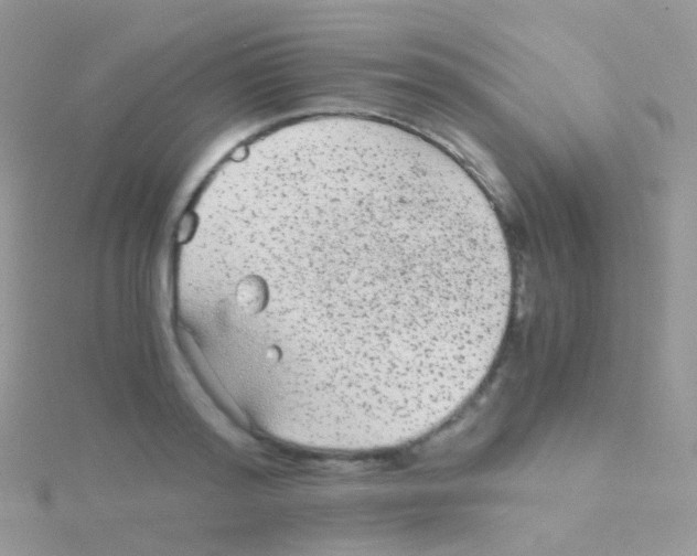 X0000115040796200911231131