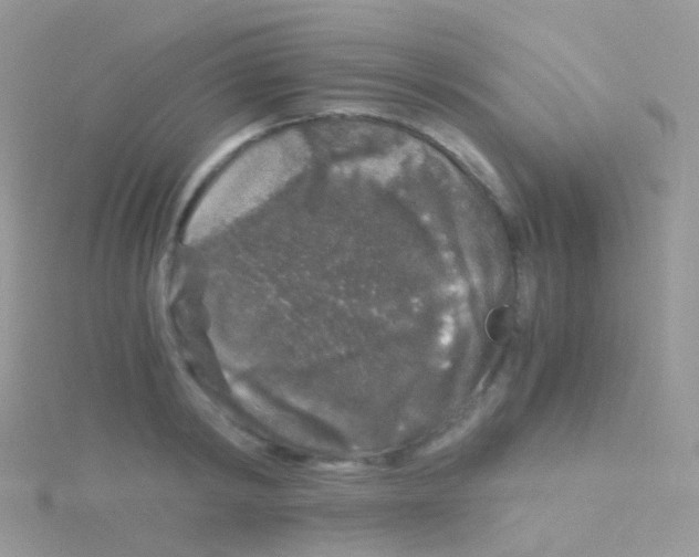 X0000115040798200911231131