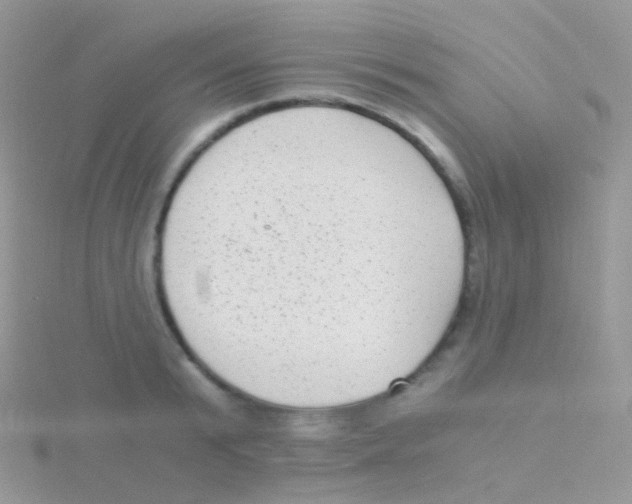 X0000115040799200911231131