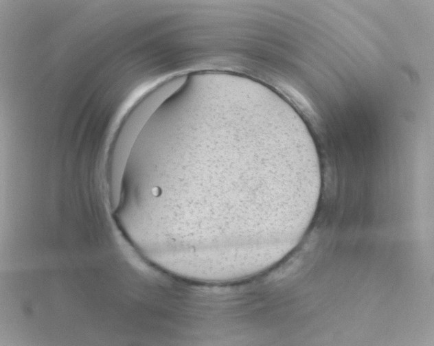 X0000115040800200911231131