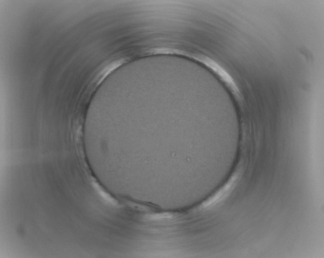 X0000115040801200911231131