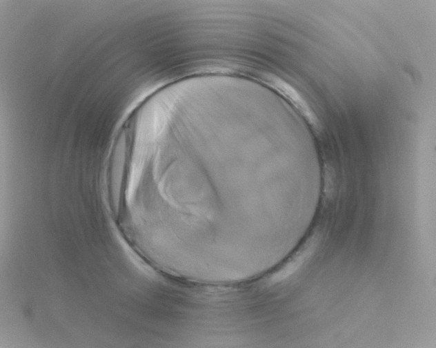 X0000115040802200911231131