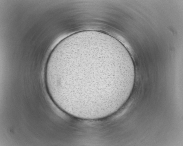 X0000115040803200911231131