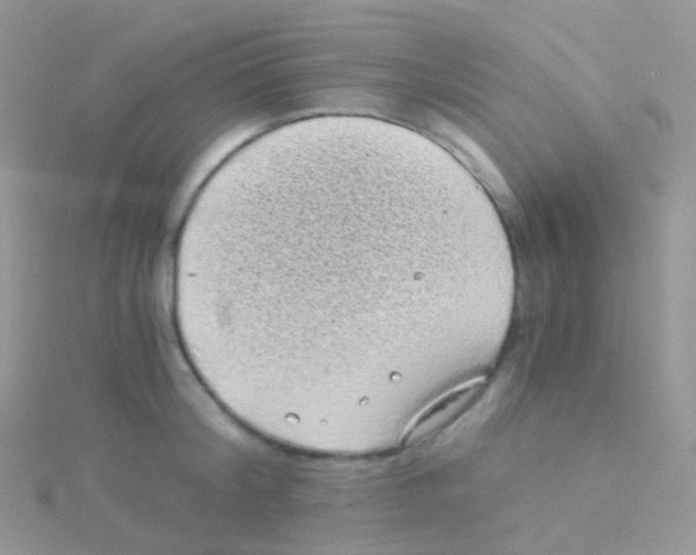 X0000115040804200911231131